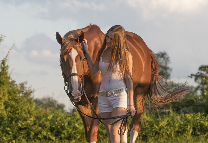 Horse Portraits