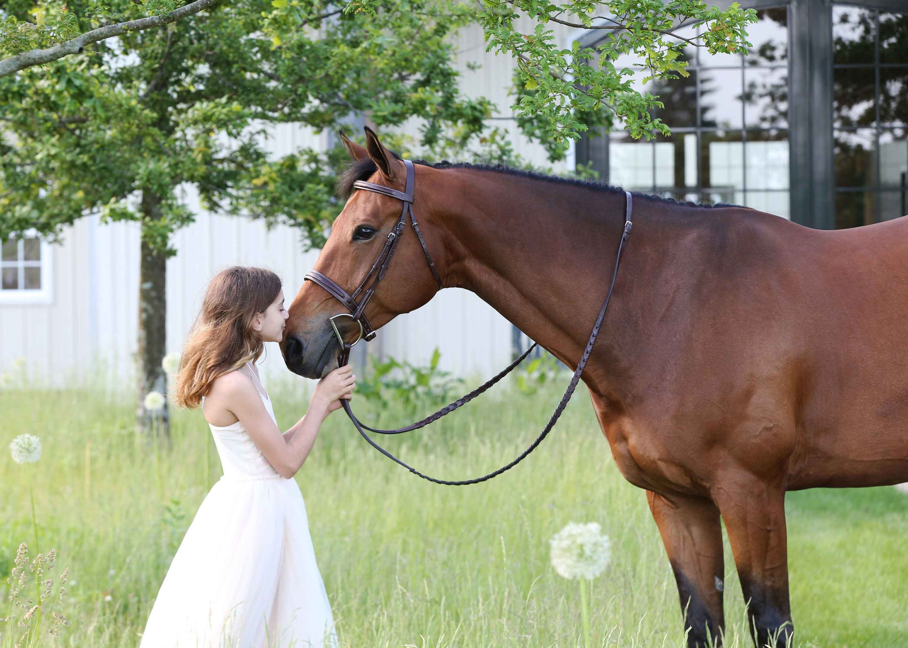 Preparing for your equestrian portrait session